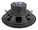 Planet Audio AC12D 12 Inch 3600 Watt 4 Ohm Dual Voice Coil Car Audio Subwoofer Pair with QPower Dual 12 Inch Vented Ported Subwoofer Sub Box Enclosure