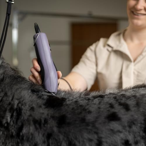 Agrarzone Edition Wahl KM10+ Hundeschermaschine mit Aufsteckkamm-Set - Profi Schermaschine Hund & Katze - Für Groomer & Tierärzte - Leise & vibrationsarm
