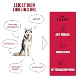 ivvi Allergy für Hunde – gegen Allergien & Juckreiz und zur Stärkung des Immunsystems - 60 leckere Snacks (270g) mit Lachs