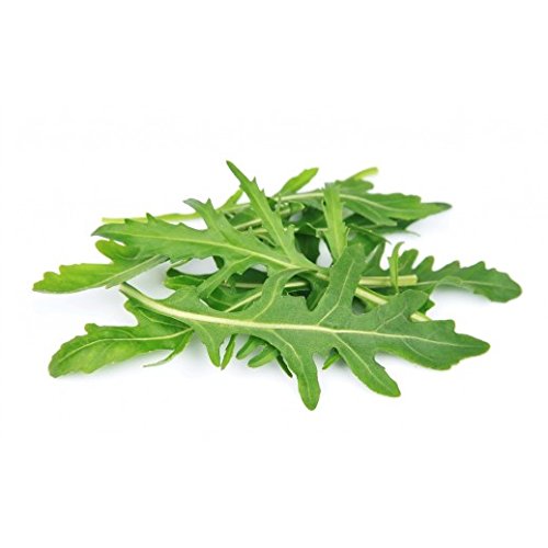 Creative Farmer Herb Heirloom - Arugula Rocket Kitchen Garden Pack (B0753K7QS7) Amazon Price History, Amazon Price Tracker