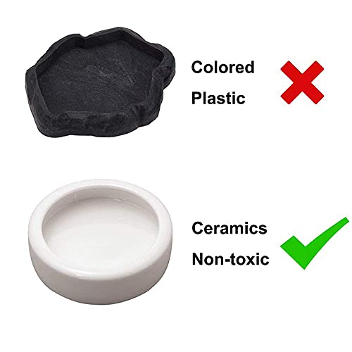 RunXF Reptiles Bowl Ceramics Dish Round Feeder Anti-Escape Breadworm Plate with Deep Edge for Lizard Gecko Tortoise (S… - Image 7
