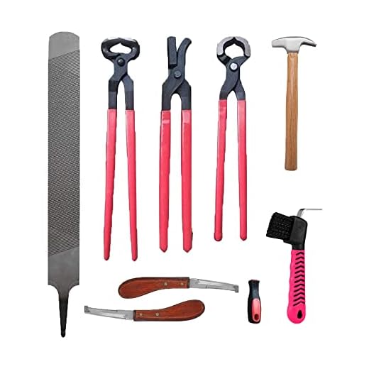 CDIYTOOL 8PCS Horse Farrier Hoof Trim Tool Kit, Include Horseshoe File, Horseshoe File Handle, Horse Hoof Trimmer, Horse Shoe Cutting Pliers, Horseshoe Brush(Random Color) Etc