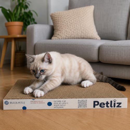 Brinquedo Para Gatos Arranhador Plano Antiestresse De Papelão - Petliz