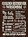 SMART BLONDE Golden Retriever Wisdom Novelty Mini Metal Parking Sign PM-1563