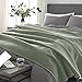 Vellux 1B05556 Orignal Full/Queen Moss Blanket, Green