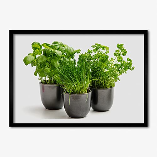 Cadre MDF 70x50 cm Tulup Tableau Photo Motif Zioła En Doniczki