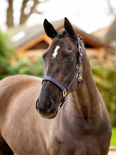 Cabezada JRS Hesadcollar navy azul marino de nailon resistente para caballos 2