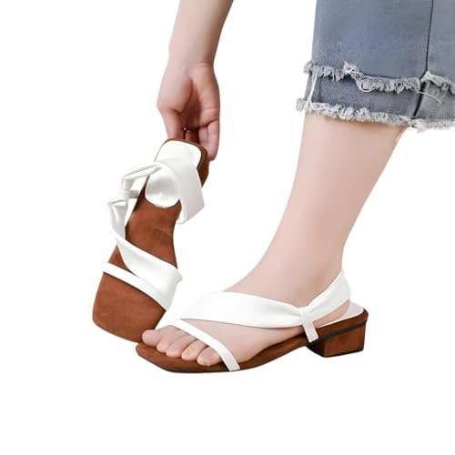 [Luvian] ~hq[ Ch T_ yʋC _uXgbvz XNGAgE Ch\[ 萫 z K ChTCY fB[X  ʋ  T_