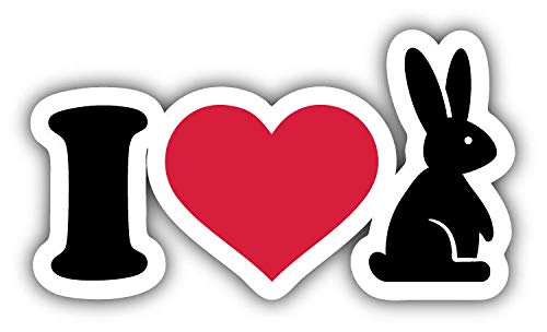 Magnet I Love Bunny Window Truck Car Vinyl Flexible Magnet Magnetic Bumper Sticker 5'' x 3''