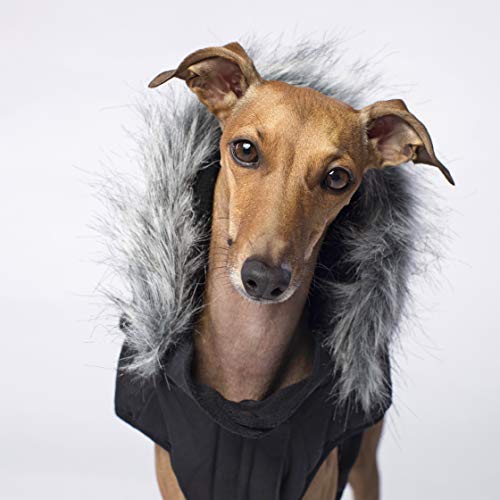 Canada Pooch | Everest Explorer Dog Jacket | Hooded Winter Dog Coat, Black, 16 (15-17\" Back Length) - Thumbnail 4
