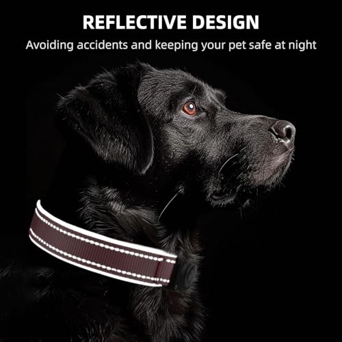 Image of Upgrade Dog Collar with AirTag Holder, IP68 Waterproof, Pastel Pink, M
