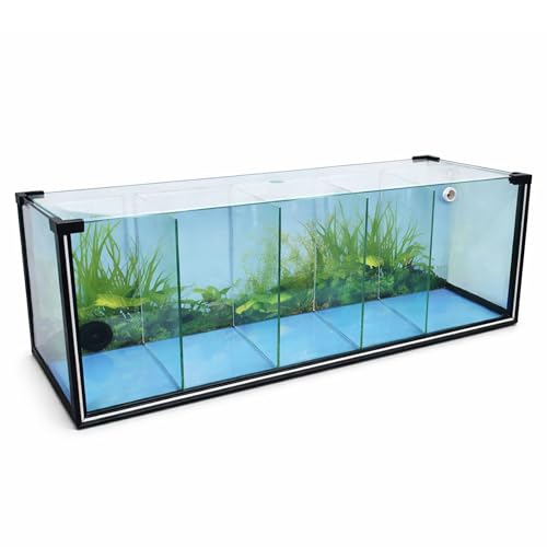 FT61 Zucht-Aquarium 29 L – 5-Kammer Systembecken mit Rückwand-Biofilter – Garnelen- & Aufzuchtbecken für Zuchtanlagen, Betta, Quarantäne & Regalsysteme