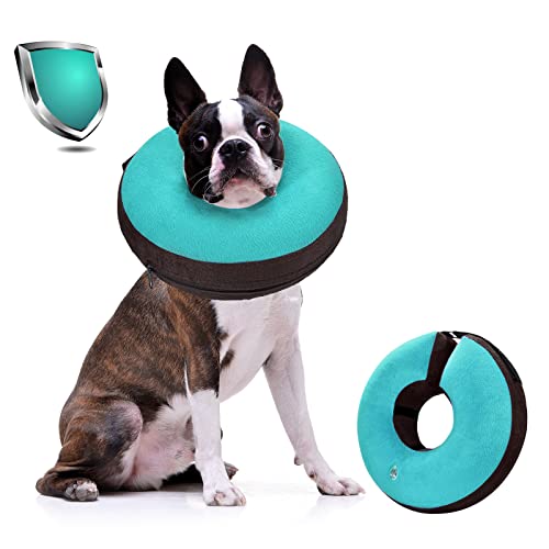 Top 10 Best E Collar For Dogs After Surgery Reviews & Comparison in 2023