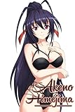 Himejima Akeno Notebook: High School DxD (110 Pages, Lined, 6 x 9)