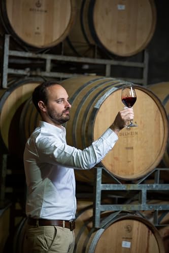 Delheim Pinotage - Rotwein trocken aus Südafrika Stellenbosch (1 x 0.75 l)