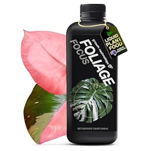 Growth Technology GT Foliage Focus – Liquid Indoor Plant Food for Houseplants, Tropical Plants, Aroids, Ferns and Palms – Concentrated Formula for Vibrant Leaves and Dense Foliage – 1 Quart (946 mL)
