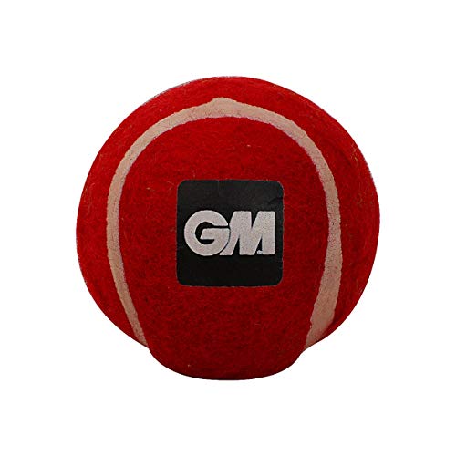 Image of GM First Lite Synthetic Tennis Cricket Balls (Red)