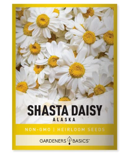 Gardeners Basics, White Shasta Daisy Flower Seeds for Planting (Alaska, Chrysanthemum Maximum...