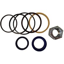 TM USWWAGOODS Replacement For/Fits 7137771 6803472 Cylinder Seal Kit Fits Bob 553 953 S250 S300 T300
