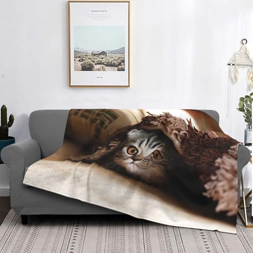 Couverture de lit chat pour des soirées cocooning et nuits douces - 5