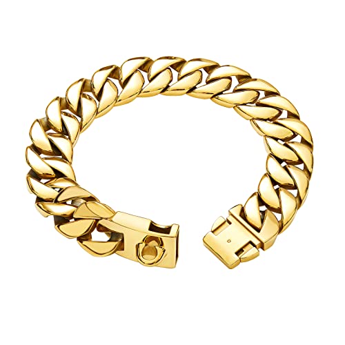 Collier de Chaîne Robuste pour Chien : Avis Complet et Fiable