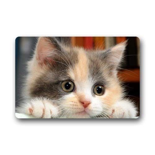 ZMvise Tapis en flanelle avec motif de chat en caoutchouc antidérapant 15,7 x 59,9 cm Cover