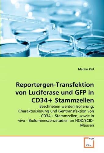 Reportergen-Transfektion von Luciferase und GFP in CD34+ Stammzellen: Beschrieben werden Isolierung, Charakterisierung und Gentransfektion von CD34+ ... - Biolumineszenzstudien an NOD/SCID-Mäusen