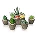 Vasemouh Künstliche Pflanzen Sukkulenten 5er Set, realistische Nachahmung sukkulente Pflanze Töpfe für Haus Büro Schreibtisch Dekoration Pflanzen Set günstig Kaufen-Vasemouh Künstliche Pflanzen Sukkulenten 5er Set, realistische Nachahmung sukkulente Pflanze Töpfe für Haus Büro Schreibtisch Dekoration