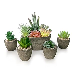 Vasemouh Succulentes Artificielles, Plantes Artificielles Grasses D’intérieur, Quatre Petites Plantes Fausses et Une Grande Succulente Artificielle pour Décorer Le Bureau, La fenêtre, Lot de 5