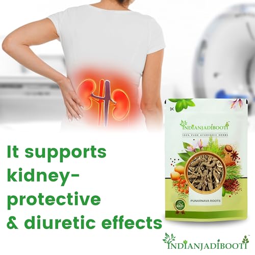 Image of IndianJadiBooti Punarnava Boerhavia Diffusa | Supports Kidney Health & Water Balance | Punarnava Churna For Urinary Wellness & Swelling Relief | With Boerhavia Diffusa Roo - 100g Pack