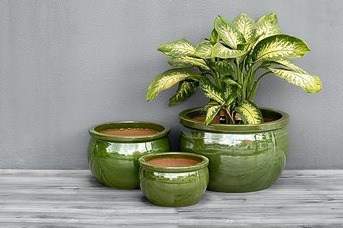 Teramico Blumentopf Pflanzgefäß Übertopf Modell Bavaria Grün Blau Verschiedene Größen - absolut frostfest – Bild 3