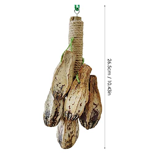 mastigar para pássaros grandes | Parakeet Swing Hangings Ring Bird Branch Chew Parrot Toys - Artigos