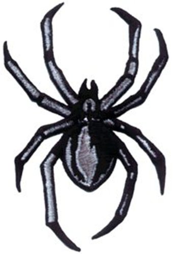 Image of C&D Visionary Application Black Widow Patch Multi-colored, 2"