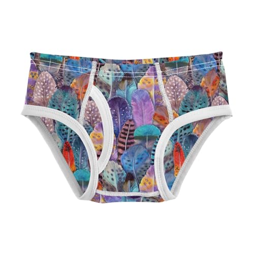 Boys' Exclusive Briefs Toddler Underwear 95% Combed Cotton Boxerbriefs 2T Colorful Feather Pattern 59