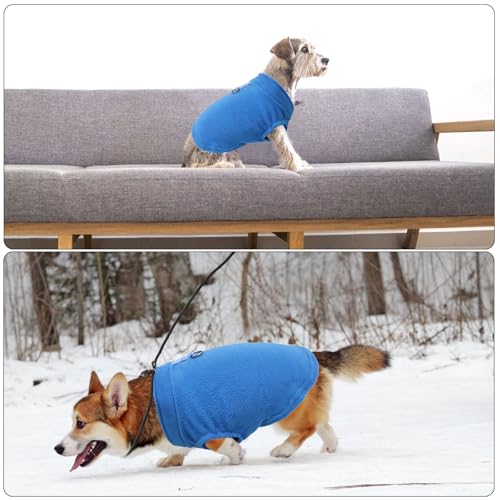 VOSSOT Hundepullover für Kleine Hunde - 2 Packungen Warmer Wintermantel Mit Hundeleine, Bauchschutz, Fleece und D-Ringen - Winterjacke (L)