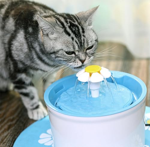 Fuente automática para gatos 1.6L con filtro miniatura 6