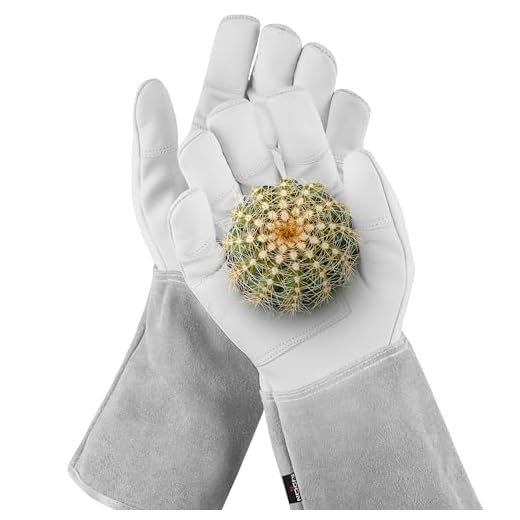 NoCry Leder Gartenhandschuhe für Damen und Herren - Dornenfeste Handschuhe mit extra langer Stulpe und verstärkten Handflächen und Fingerspitzen, Grau, Größe S
