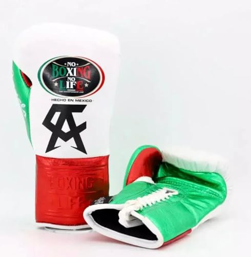 No Boxing Professional Training Gloves (10, Ounces)