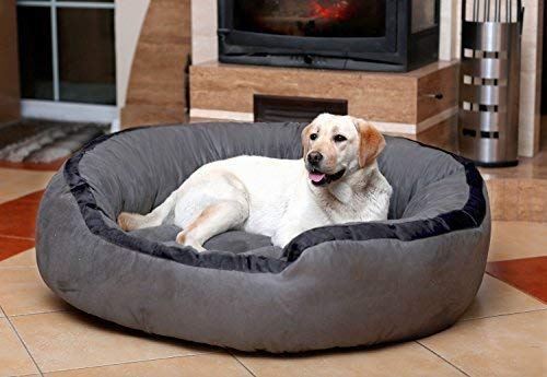 See full amazon price history chart for PETITUDE Luxurious & Durable Polyester Filled Soft Dual Colour Dog/Cat Bed (XX Large, Grey) PETITUDE Luxurious & Durable Polyester Filled Soft Dual Colour Dog/Cat Bed (XX Large, Grey) (B08WX796Z1) Amazon Price History, Amazon Price Tracker