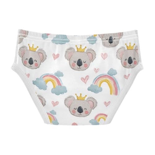 Wusikd Cute Koala Boys' Underwear Cotton Rainbows Clouds Boys Briefs Soft Toddler Underwear 2T2