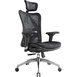 SIHOO Sedia ergonomica con Supporto Lombare, Sedia da Ufficio, braccioli Regolabili in 3D, Tessuto a Rete Delicato sulla Pelle, poggiatesta Regolabile, Sedia da Ufficio ergonomica (Nero)
