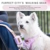 Furfect City Step in Dog Harness, No Pull No Choke, Durable Polyester Breathable mesh, Adjustable Strap, Quick Release Gold Hardware Metal Buckle, Soft Edges for Comfort (Pink, Small) #4