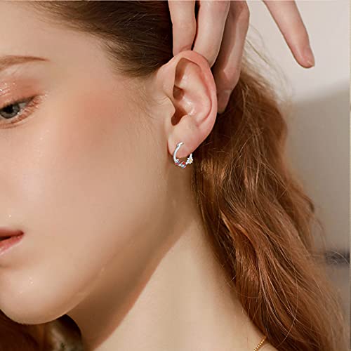 Ladybug Earrings 925 Sterling Silver Small Hoop Daisy Earrings Ladybug Huggies Earring Jewelry Gifts For Women Teen Girls Girlfriend Mom #TOP1