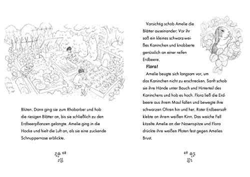 Tierklinik Pfötchen (Band 2) - Ein Kaninchen mit Bauchweh: Kleine Tierretterin mit großem Herzen! - Kinderbuch für Erstleser zum Vorlesen und Selberlesen ab 7 Jahren