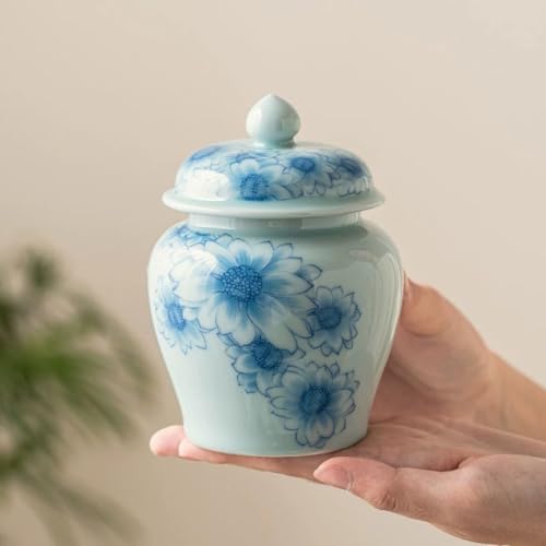 Scellé de stockage cuisine ENGENDER anti-humidité en céramique