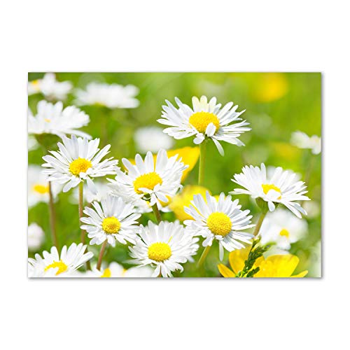 Crédence de cuisine fleurs et plantes Tulup fond de hotte pour harmonie lumineuse