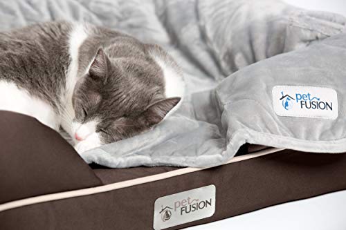 Petfusion Ultimate Dog Bed, Orthopedic Memory Foam, Multiple Sizes/Colors, Medium Firmness Pillow, Waterproof Liner, Ykk Zippers, Breathable 35% Cotton Cover, 1Yr. Warranty #TOP6