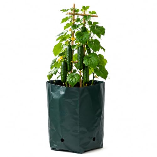 Image of Go Garden Grow Bags for Plants 13 x 13 Inch (Pack of 30) | UV Protected Plastic Nursery Grow Bags | Heavy Duty Black Poly Plant Bags