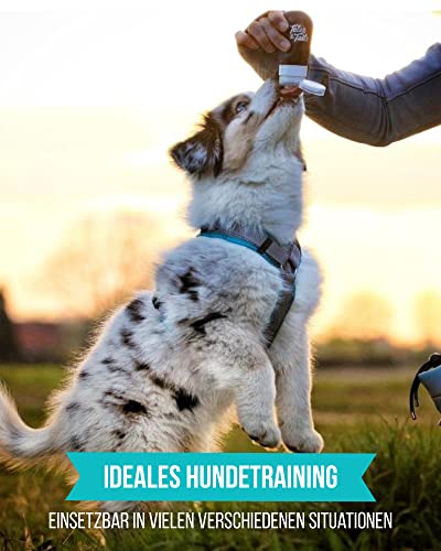 Tales & Tails Schleckertubenpaket Fisch Mix | Futtertube Für Hunde zum Befüllen | 6X 100g Nassfutter | Ideales Hundetraining | Wiederverwendbare Tube