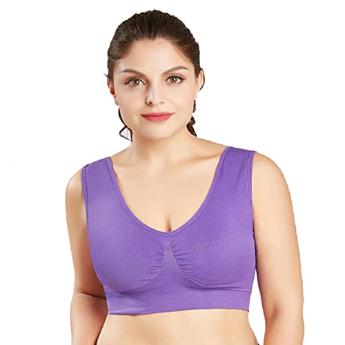 [j@r] iCgu X|[cu 傫TCY  mC\ e e Jbvt ₷݃u n[tgbv Vv n ha9 3L purple